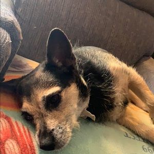 Meet your Posher, Jesse